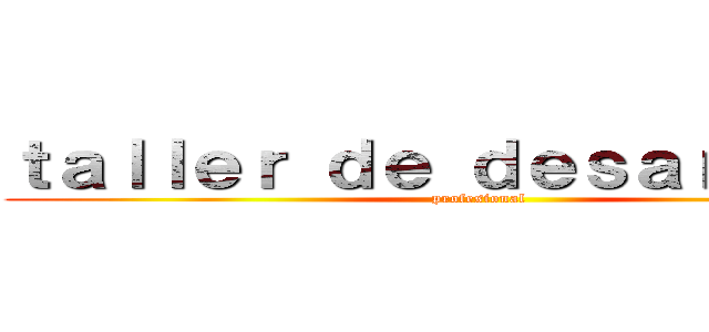 ｔａｌｌｅｒ ｄｅ ｄｅｓａｒｒｏｌｌｏ (profesional)