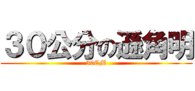 ３０公分の遜角明 (30CM)