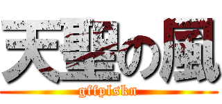 天聖の風 (gffplskn)