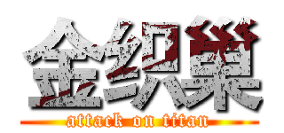 金织巢 (attack on titan)