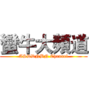 蠻牛大頻道 (ASDDNBN Channel)