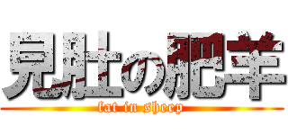 見肚の肥羊 (fat in sheep)