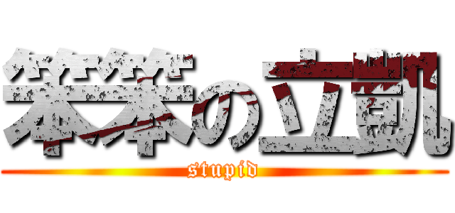笨笨の立凱 (stupid)