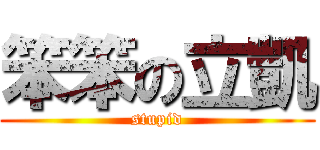 笨笨の立凱 (stupid)