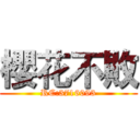 櫻花不敗 (RC:3716093)