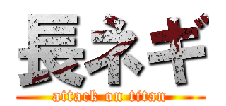 長ネギ (attack on titan)