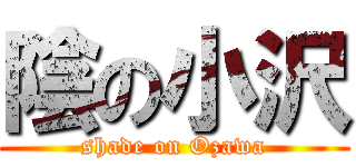 陰の小沢 (shade on Ozawa)