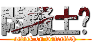悶騷土鱉 (attack on waterfish)