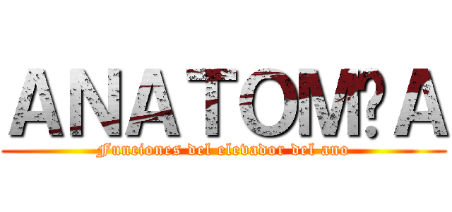 ＡＮＡＴＯＭÍＡ (Funciones del elevador del ano)