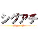 シグアチ (Siguachi)