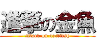 進撃の金魚 (attack on goidfish)