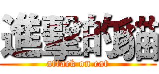 進擊的貓 (attack on cat)