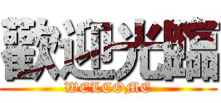 歡迎光臨 (WELCOME)