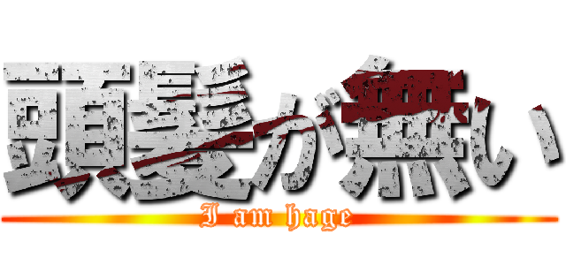 頭髪が無い (I am hage)