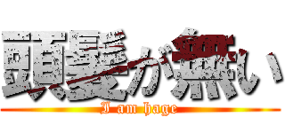 頭髪が無い (I am hage)