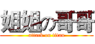 姐姐の哥哥 (attack on titan)