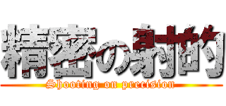 精密の射的 (Shooting on precision)