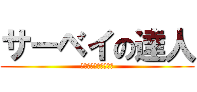 サーベイの達人 (いくつ正解できるかな)