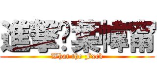 進撃✰葉幃甯 (What the Fxck)