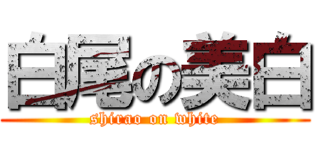 白尾の美白 (shirao on white)