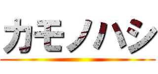 カモノハシ ()