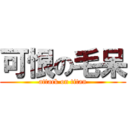 可恨の毛呆 (attack on titan)