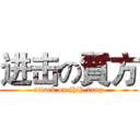 进击の質方 (attack on jhih-fang)