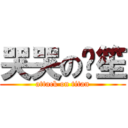 哭哭の啟笙 (attack on titan)