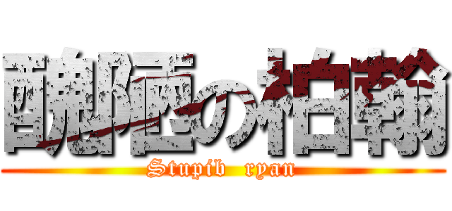 醜陋の柏翰 (Stupib  ryan)