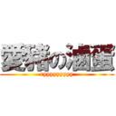 愛豬の滷蛋 (ryyyyyyyyy)