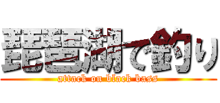 琵琶湖で釣り (attack on black bass)