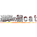 進撃の熊ｃａｔ (attack on beer cat)