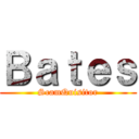 Ｂａｔｅｓ (ScamQuisitor)