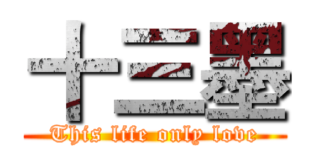 十三墨 (This life only love)