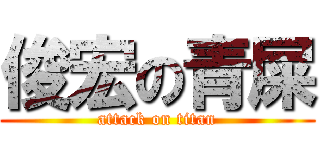 俊宏の青屎 (attack on titan)