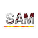 ＳＡＭ ()