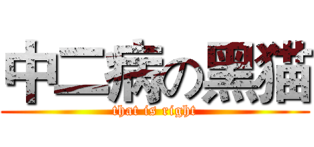 中二病の黑猫 (that is right)