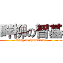 畔柳の智基 (King of Handsome)