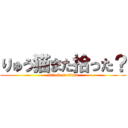 りゅう猫また拾った？ (attack on titan)