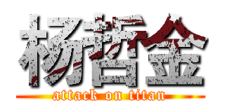 杨哲金 (attack on titan)