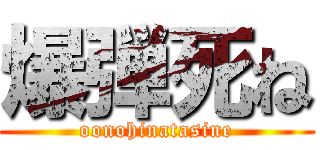 爆弾死ね (oonohinatasine)