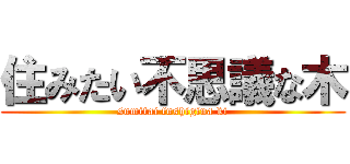 住みたい不思議な木 (sumitai fushigina ki)