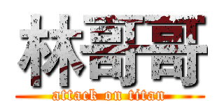 林哥哥 (attack on titan)