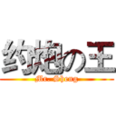 约炮の王 (Mr. Sheng)