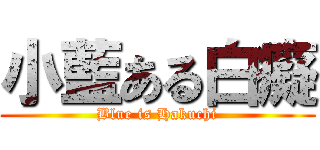 小藍ある白癡 (Blue is Hakuchi)
