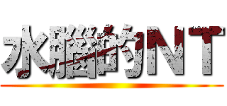 水腦的ＮＴ ()