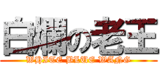 白爛の老王 (WHITE BLUE WANG)