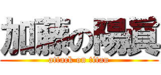 加藤の陽眞 (attack on titan)