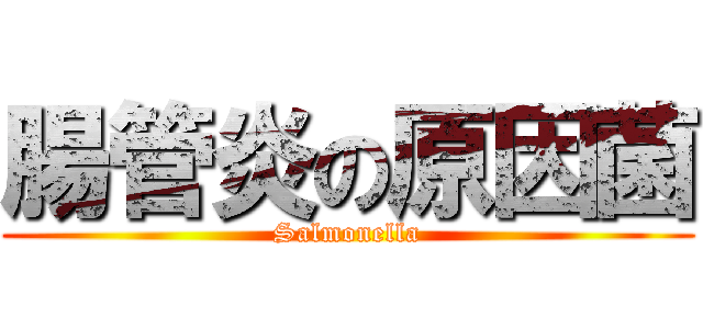 腸管炎の原因菌 (Salmonella)