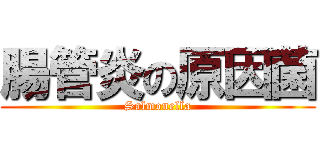 腸管炎の原因菌 (Salmonella)